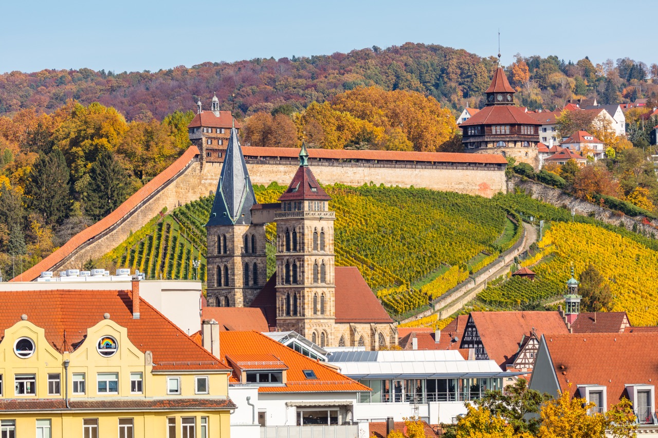 Umzug Esslingen am Neckar