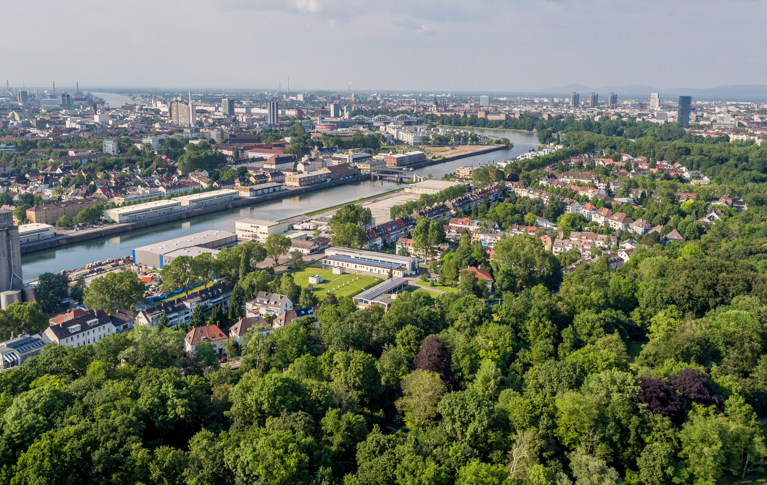 Umzug Ludwigshafen am Rhein